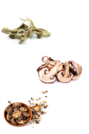 Suve Gajene pečurke