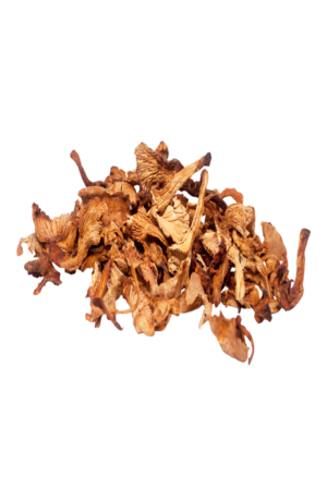 Suva Lisičarka- Rinfuz