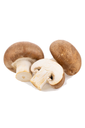 Braun šampinjon (portobello)